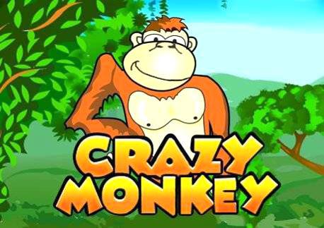 Crazy Monkey: slot machine review